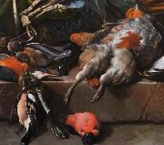 Melchior de Hondecoeter Still life with birds painting